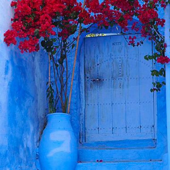 IZOD Shorts - Picture 7 of 7